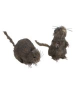 Rat - 13 cm