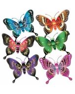 Papillon royal – 43 cm