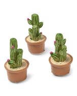 lot de12 cactus adhésifs 3 cm