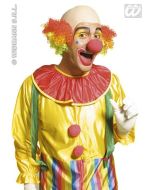 Perruque adulte "clown" - rouge / vert