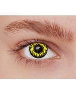 Lentilles de contact - loup jaune