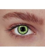 Lentilles de contact - vert classique