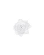24 roses blanches - 9 cm