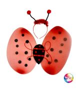 Kit accessoires coccinelle