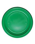 20 assiettes plastiques vertes rondes - 22 cm