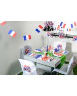 Banderole en carton aux couleurs de la france à prix fou