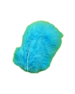 Plumes turquoises x20