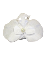 Orchidées flottantes blanches