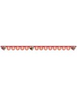 Guirlande Happy Birthday Elena d'Avalor 