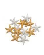 12 étoiles de mer adhésives blanches et ivoires