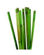 Fagot de bambou à prix choc