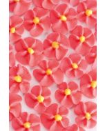 Confetti comestible fleur - Plusieurs couleurs disponibles