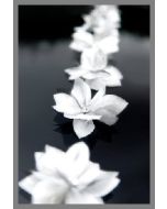 Lot de 8 fleurs blanches pour déco de voiture