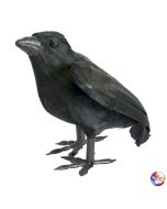 Corbeau plumes noires - 16 cm