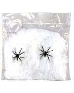 2 araignées noires avec toile d'araignée