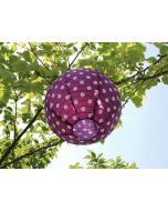 Lampion pois violet