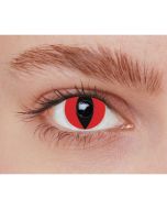 Lentilles de contact - chat rouge