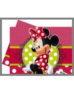 Nappe Minnie Fashion