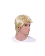 Perruque homme - blonde