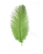 plumes autruche vert anis