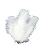 18 plumes blanches - 14 cm à prix discount