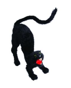 Chat peluche - 60 cm