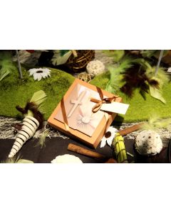 Lot de 4 boîtes à dragées Nina - Blé