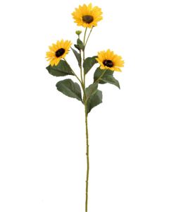 Tournesol jaune sur tige