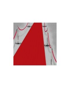 Tapis rouge hollywoodien