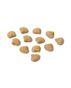 12 coquillages adhésifs ivoire