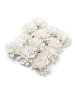 12 Pivoines papier sur tige blanches