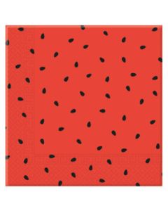 20 serviettes pastèque