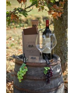 Urne mariage viticole