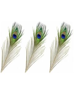 Plume de paon 25 cm (x 3)