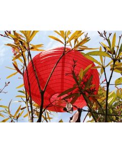 Lampion ovale rouge