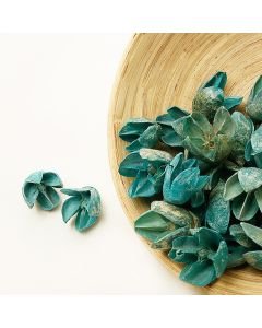 Décoration naturelle - turquoise