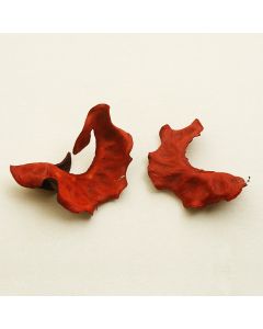 Décoration naturelle - bordeaux