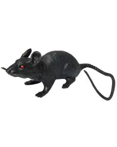 Rat noir - 48 cm