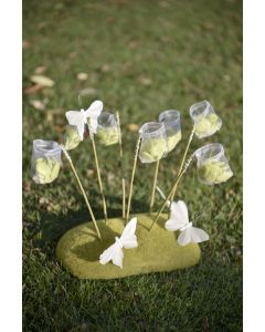 12x Filet Papillon + Socle