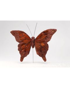 Papillon nice étalage - marron