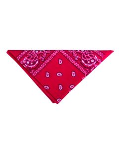 Bandana rouge et blanc