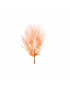 plumes orange