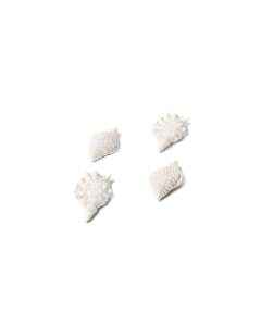 4 coquillages adhésifs blancs irisés 7x4 cm