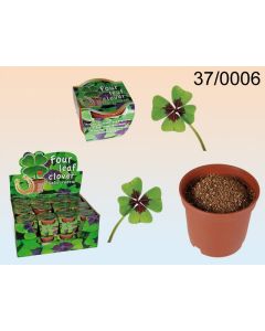Trèfle à quatre feuilles à semer