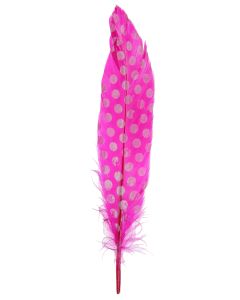 6 Plumes fuchsia à pois