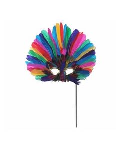 masque venise multicolore plume