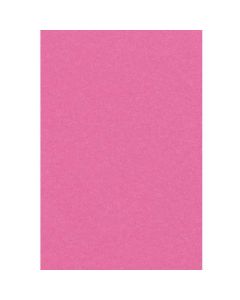 Nappe en Plastique Rose Vif