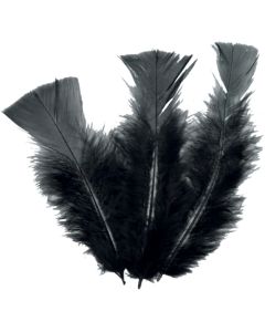 18 plumes noires - 14 cm