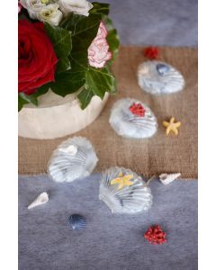 8 Coquillages