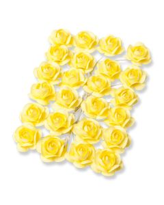 24 roses jaunes